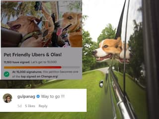 Influencer Sherry Shroff Starts Petition For 'Pet-Friendly' Cab Rides. Gul Panag, Others Endorse It
