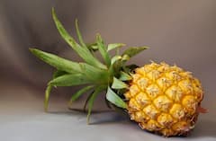 Pineapple Jam At Home: কীভাবে চটজলদি তৈরি করবেন আনারসের জ্যাম? রইল রেসিপি