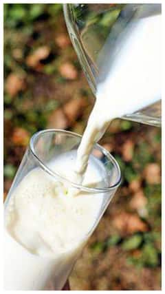 Health Tips : 'दुधाबरोबर 'ही' फळं खा; नेहमी फिट राहाल