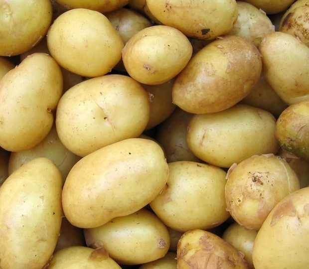 पिछले साल 9 मई के मुकाबले इस साल 9 मई तक आलू 26.46 फीसदी महंगा हुआ