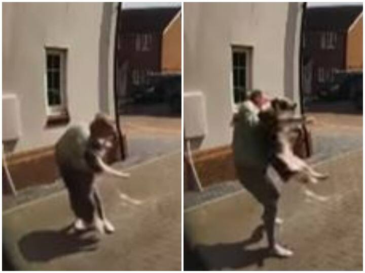 Woman saves dog falling from balcony of house Watch: घर की बालकनी से गिर रहे कुत्ते को महिला ने बचाया, दिल दहला देगा वीडियो!