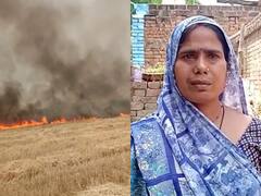 Fatehpur: खेत में लगी आग का किसानों को अभी तक नहीं मिला मुआवजा, किसी की रुकी शादी तो कोई नहीं करा पा रहा इलाज