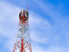 Wasp Attack Spoils Woman's Suicide Bid In Kerala