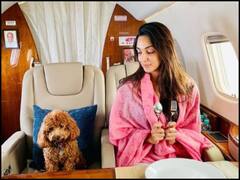 Kiara Advani: कियारा आडवाणी ने राम चरण के कु्त्ते के साथ शेयर की तस्वीर, फैंस ने किए मजेदार कमेंट