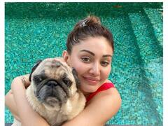 PHOTO: अभिनेत्री शेफाली जरीवालालाचा हॉट लूक; वयाच्या 39 व्या वर्षीही आहे एकदम फिट!