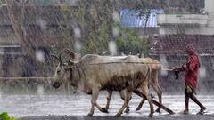 Cyclone Safety Tips: দোরগোড়ায় 'অশনি', প্রবল বৃষ্টিতে সুরক্ষিত থাকতে মেনে চলুন এই টিপসগুলো