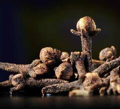 Clove Benefits : स्वयंपाकघरातील छोटीशी लवंग सर्वात मोठी समस्या दूर करते; जाणून घ्या लवंगाचे चमत्कारिक उपाय