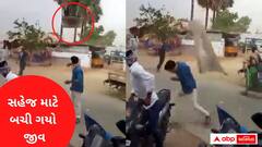 Cyclone Asani: અચાનક ઉડીને યુવક તરફ આવ્યું પતરું, યુવક ખસી ગયો નહીંતર ડોકું ઉડી ગયું હોત, LIVE VIDEO