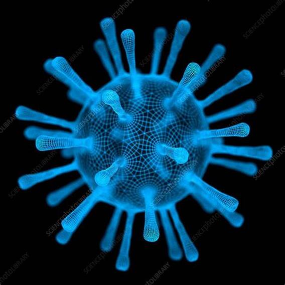 தக்காளி காய்ச்சல் குறித்து தெரிந்து கொள்வோம்