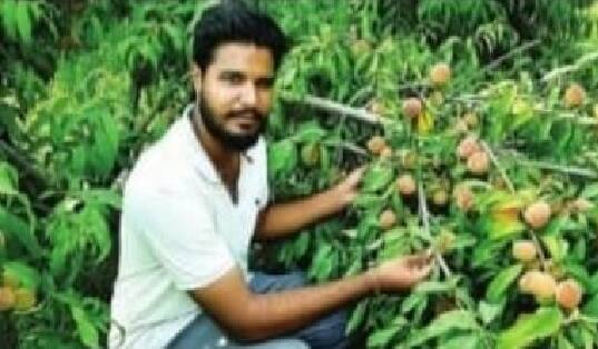 This farmer earns 7 lakh rupee profit through horticulture farming Horticulture Farming: પરંપરાગત ખેતી છોડી વર્ષે સાત લખનો ચોખ્ખો નફો કમાઇ રહ્યો છે આ ખેડૂત, જાણો વિગત