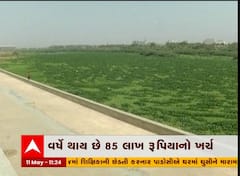 અમદાવાદઃ સાબરમતી નદીમાં જામ્યા લીલના થર, વીડિયો જોઇ ચોંકી જશો