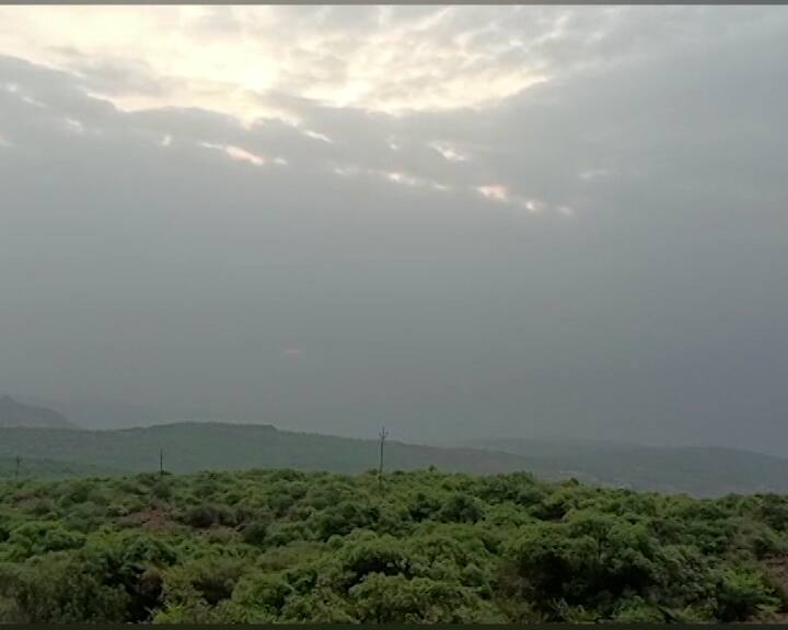 राज्यात तापमान वाढत असताना महाबळेश्वरमध्ये मात्र हिवाळ्याचा फिल येत आहे.