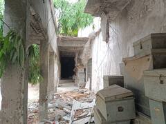 Siwan News: एकता इंडोर स्टेडियम खंडहर में तब्दील, नहीं होगा जीर्णोद्धार तो 15 अगस्त को सचिव करेंगे आत्मदाह