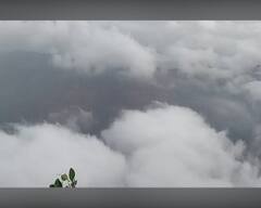 In Pics : राज्यात उन्हाचा कहर मात्र महाबळेश्वर थंडगार; धुक्याची चादर अन् ढगांचा भारीच खेळ!