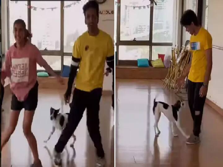 Watch Video: வண்ண வண்ண பட்டு பூச்சி பூ தேடி.. ஹோசானா பாடலுக்கு நடனமாடும் நாய் - வைரல் வீடியோ !