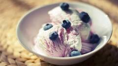 Desserts Recipe for Summer: গরমে প্রাণ জুড়াতে বাড়িতে তৈরি ডেজার্টই হোক ভরসা, রইল সহজ রেসিপির সন্ধান