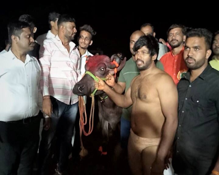 पुण्याच्या मावळमध्ये कुस्तीचा आखाडा मारणाऱ्या पैलवानांना बक्षिसात चक्क म्हैस आणि बकरे देण्यात आली. पैशांऐवजी शेतकऱ्यांच्या उपयोगी पडणारे प्राणी देण्याचा आयोजकांचा या मागचा हेतू होता.