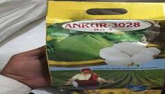 Seed Purchase: ખેડૂતો બિયારણની ખરીદી કરતી વખતે આ બાબતો રાખે ધ્યાનમાં, નહીં આવે રડવાનો વારો