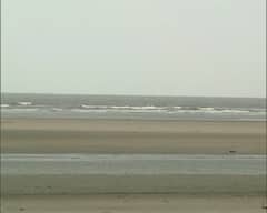 Cyclone Asani : অশনি সঙ্কেতে উত্তাল সমুদ্র, দিঘা থেকে বিশাখাপত্তনম, দেখুন সৈকতের পরিস্থিতি