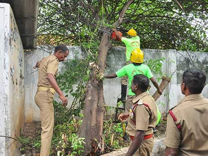 Heavy rains with force winds lashed kanyakumari district overnight in response to Asani storm. Kanyakumari Rain : அசானி புயல் எதிரொலி : குமரி மாவட்டத்தில் இரவு முழுவதும் சூறை காற்றுடன் கனமழை..