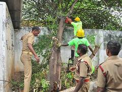 Kanyakumari Rain : அசானி புயல் எதிரொலி : குமரி மாவட்டத்தில் இரவு முழுவதும் சூறை காற்றுடன் கனமழை..