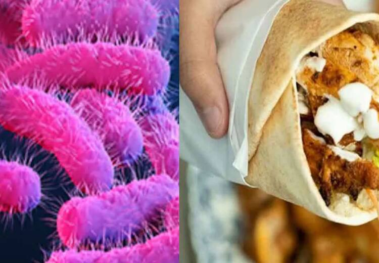 Kerala Shawarma issue and detailed information on Shigella bacteria symptoms and prevention Shigella : கேரளா ஷவர்மா விவகாரம்.. ஷவர்மாவில் இருந்த ஷிஜெல்லா பாக்டீரியா.. தடுப்பது எப்படி?