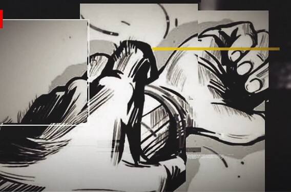 Split Verdict on Marital Assault:వేర్వేరుగా తీర్పులు రాసిన Delhi Highcourt న్యాయమూర్తులు|ABP Desam