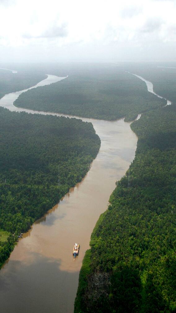 அமேசான் நதி உலகத்தின் சுவாரஸ்ய தகவல்கள்!