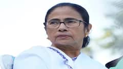 Anadiranjan Biswas: সাহিত্য আকাদেমির বাংলা উপদেষ্টা পরিষদ পদ থেকে ইস্তফা অনাদিরঞ্জনের | Bangla News