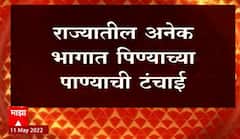Maharashtra Water Crisis : अनेक ठिकाणी पिण्याच्या पाण्याची टंचाई, नाशिक पालघर ठाण्यात चिंता वाढणार