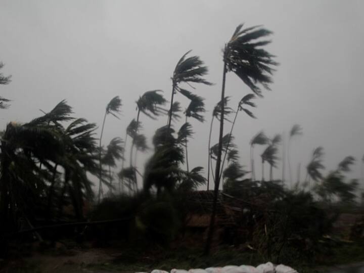 Cyclone Asani Update: Storm To Weaken Into Depression, East Coast Braces For Heavy Rain Cyclone Asani Update: Storm To Weaken Into Depression, East Coast Braces For Heavy Rain