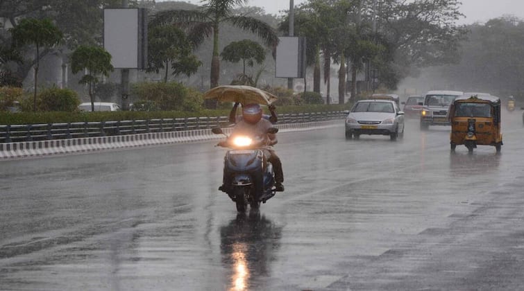 Heavy rains with thunderstorms in Nanded district Nanded Rain : नांदेड जिल्ह्यासह परिसरात विजांच्या कडकडाटासह वादळी पाऊस, वीज पडून गाय आणि म्हशीचा मृत्यू
