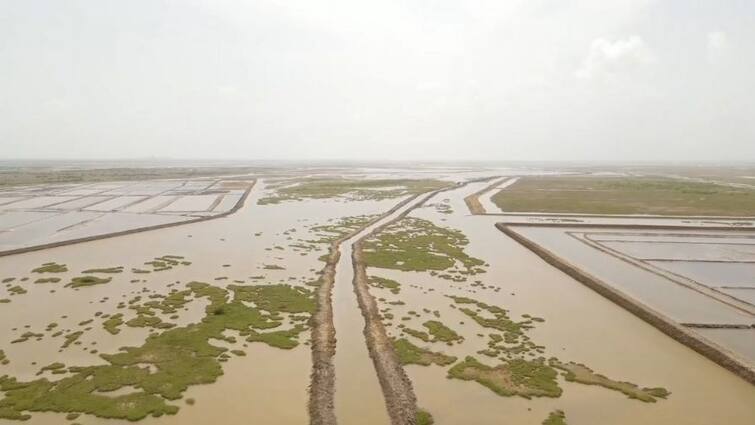 13 villages of Bhal panth of Bhavnagar are in danger of drowning in monsoon BHAVNAGAR : ભાલ પંથકના 13 ગામડા પાણીમાં ગરકાવ થવાનો ભય, જાણો શું છે કારણ