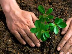 सवाल- आज कल सबसे ज्यादा मुनाफा किस खेती में है? ये रहा कमाई बढ़ाने वाला जवाब