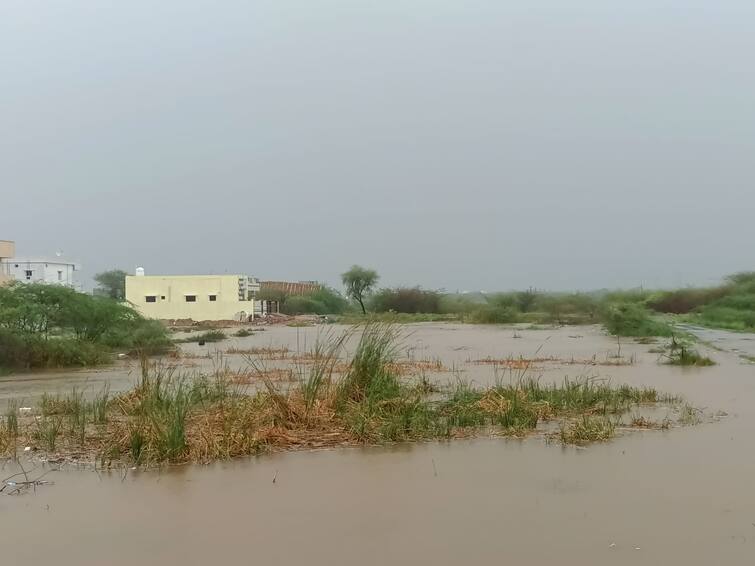 Nellore: highest Rainfall In Nellore District amid asani cyclone effect Heighest Rainfall In Nellore: అక్కడ తీరం దాటిన తుపాను, ఇక్కడ దంచికొట్టిన వాన, ఇదే రికార్డు!