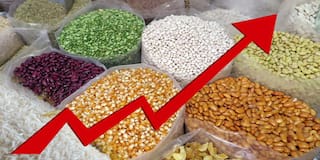 WPI Inflation: મોંઘી ખાદ્ય ચીજવસ્તુઓ, ઈંધણના ભાવમાં વધારાને કારણે એપ્રિલ 2022માં જથ્થાબંધ ભાવ આધારિત ફુગાવો 15 ટકાને વટાવી ગયો