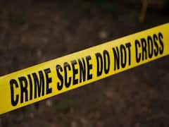 Telangana: Man Sexually Assaults Tribal Woman, Rapes Her After Death. Arrested