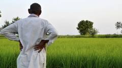 PM Kisan: मोदी सरकार के कौन से आदेश के बाद 3.15 लाख किसानों से वापिस लिए जाएंगे किश्त के पैसे?