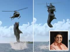 Kiran Bedi: హెలికాప్టర్‌ను కూల్చేసిన షార్క్, కిరణ్ బేడీని తిట్టిపోస్తున్న నెటిజన్స్, ఎందుకంటే..