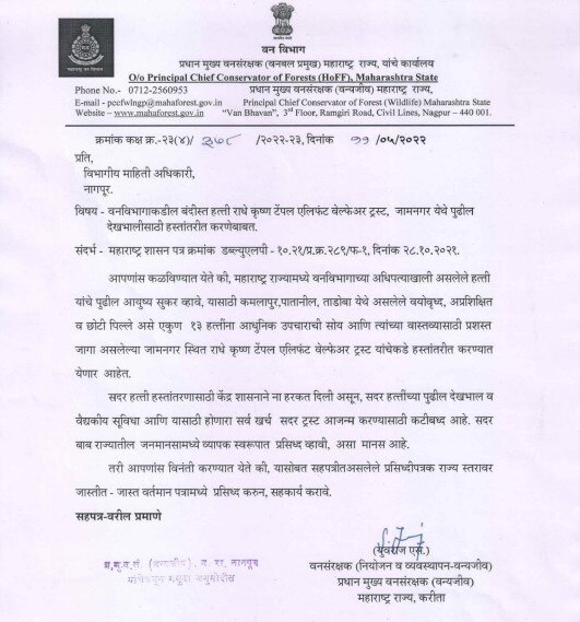 Gadchiroli News : गडचिरोली-चंद्रपुरातील 13 हत्ती आणि पिलांना गुजरातमध्ये हलवण्यावर शिक्कामोर्तब