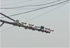 Noida News : अपराधियों की नकेल कसने के लिए नोएडा में लगेंगे 1000 हाई-टेक कैमरे, अब नहीं भाग पाएंगे अपराधी