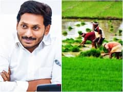 AP Cabinet Meet : సంక్షేమ క్యాలెండర్ ప్రకారం పథకాల అమలు, జూన్ 1 నుంచి సాగునీరు విడుదల