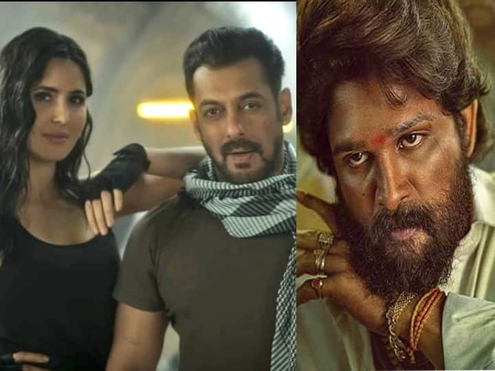 Salman Khan Tiger 3 Varun Dhawan Bawaal Allu Arjun Pushpa 2 to release in Summer 2023 Movies Release Date: सलमान खान की 'टाइगर 3' से अल्लू अर्जुन की 'पुष्पा 2' तक, ये फिल्में अगले साल इस समय होंगी रिलीज