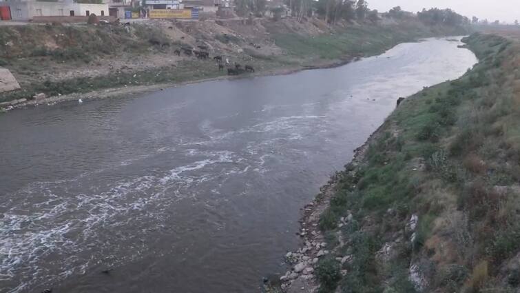Punjab news: Ghaggar river  becomes a curse for the people of Sangrur, hundreds of lives are lost every year ਸੰਗਰੂਰ ਦੇ ਲੋਕਾਂ ਲਈ ਸ਼ਰਾਪ ਬਣੀ ਘੱਗਰ ਨਦੀ, ਹਰ ਸਾਲ ਸੈਂਕੜੇ ਲੋਕਾਂ ਨੂੰ ਗਵਾਉਣੀ ਪੈਂਦੀ ਜਾਨ