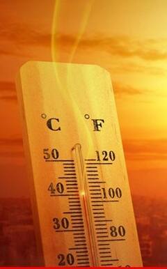 Photo: वाढत्या तापमानाचा शेती पिकांवर परिणाम