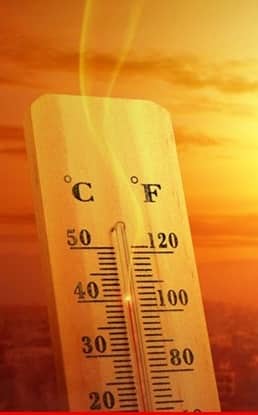 वाढत्या तापमानाचा शेती पिकांवर परिणाम