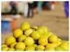 Lemon Price : अहमदनगरच्या बाजार समितीत लिंबाच्या दरात वाढ, 60 ते 80 रुपये किलो दराने विक्री