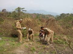 Rajasthan Wildlife Census: राजस्थान में दो साल बाद 16 मई को बुद्ध पूर्णिमा पर होगी वन्य जीवों की गणना, कुनबा बढ़ने की उम्मीद
