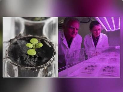 Farming on Moon is possible Scientists grow plants in lunar soil Moon: நிலவில் எடுக்கப்பட்ட மண்ணில் முளைக்கும் செடி! நாசா விஞ்ஞானிகளே ஆச்சரியப்படும் ஆய்வு!