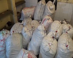 સુરત SOGએ 70 લાખથી વધુની કિંમતનો ગાંજાનો જથ્થો ઝડપી પાડયો